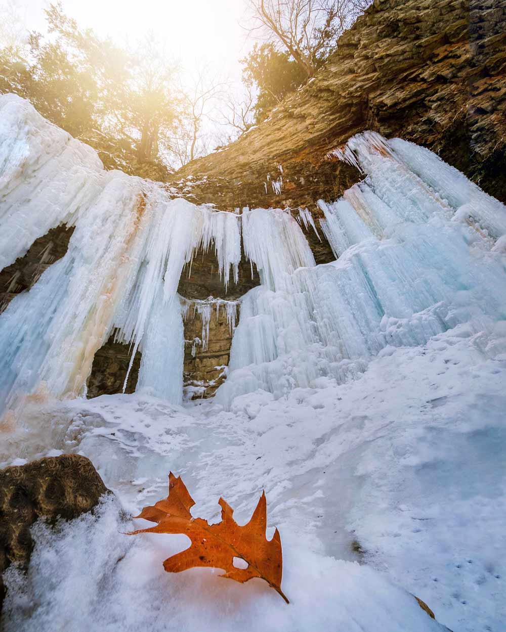 Tew's Falls Ontario winter leaf - Photographer @magpie_n_moo / Michèle Thompson