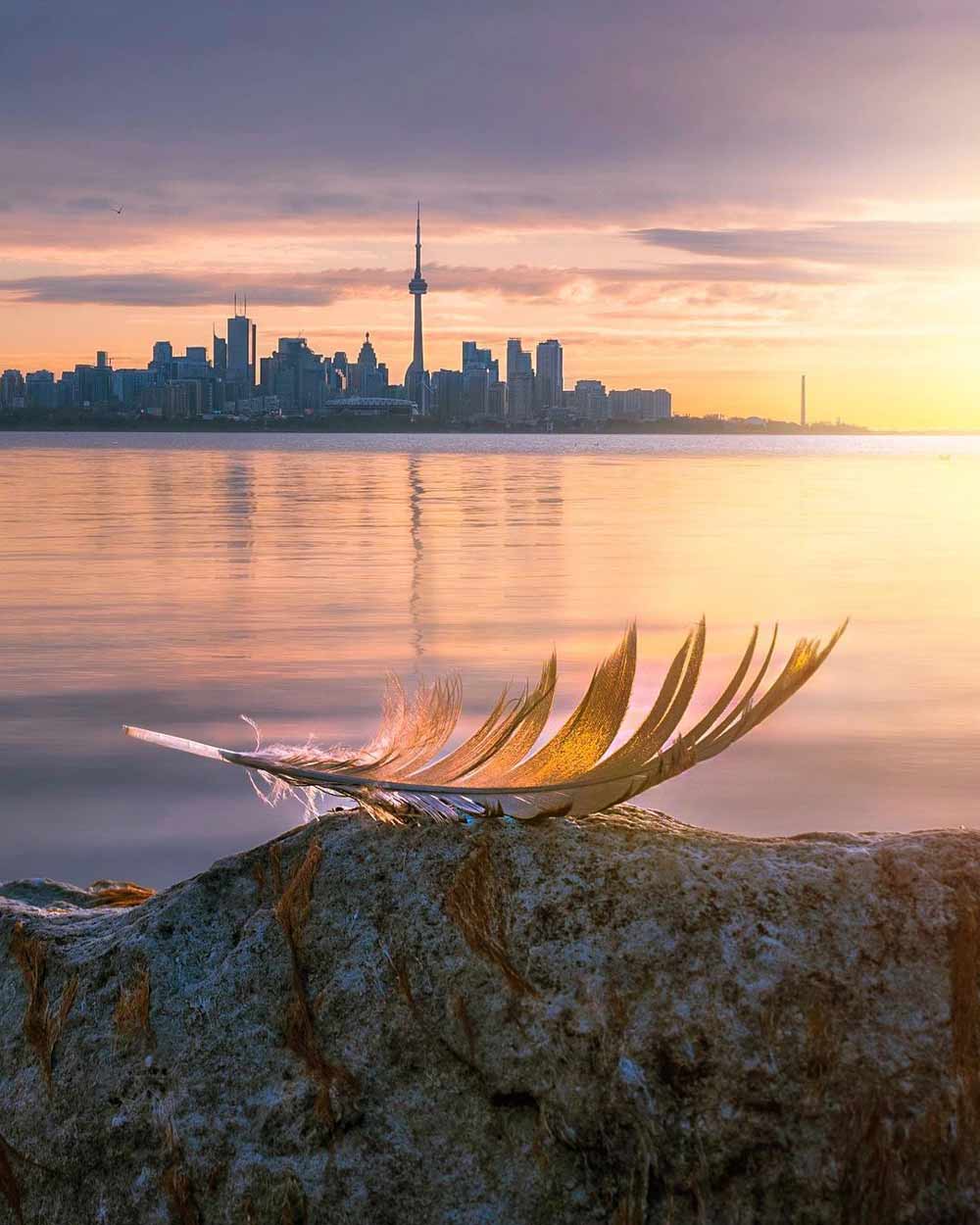 Toronto sunrise with feather - Photo by @magpie_n_moo Michele Thompson