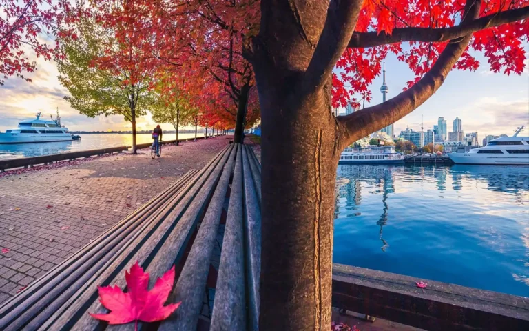 Moments to Remember – Fall Photography in Toronto at the Waterfront (Member Feature by Tdot4k)