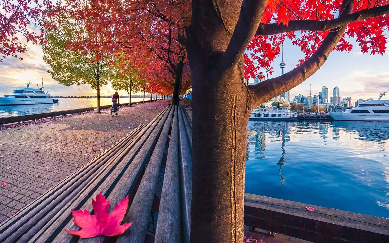 Moments to Remember – Fall Photography in Toronto at the Waterfront (Member Feature by Tdot4k)