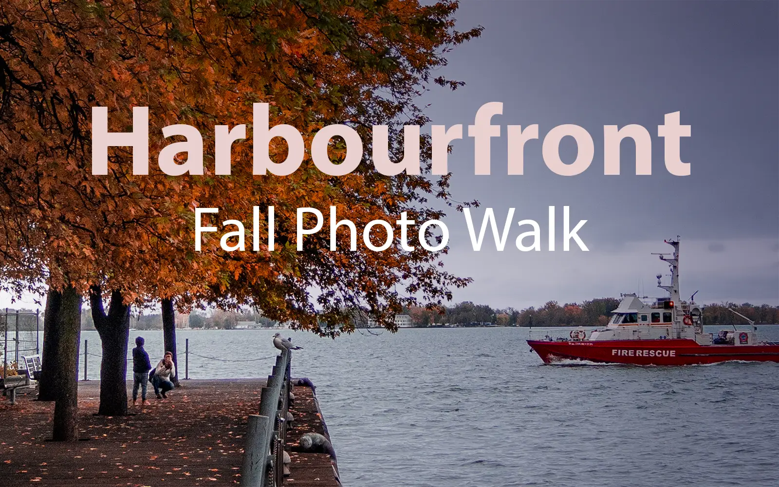 Fall Toronto Harbourfront and Waterfront Photo Walk, October 18, 2026 Fall Toronto Harbourfront and Waterfront Photo Walk, October 18, 2026