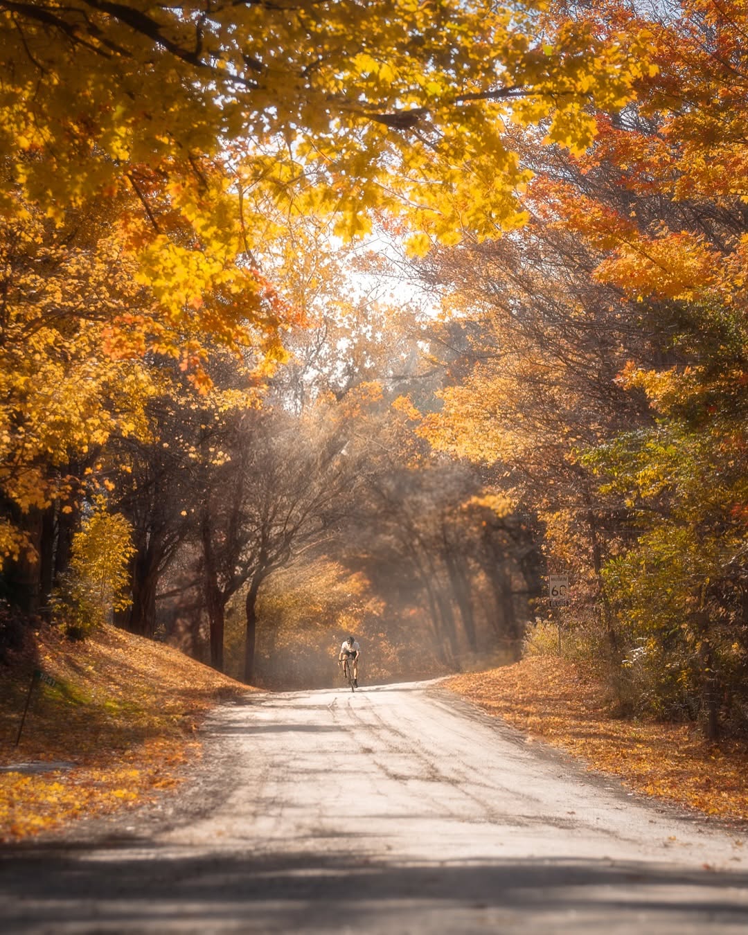 Country road by @justsayantan