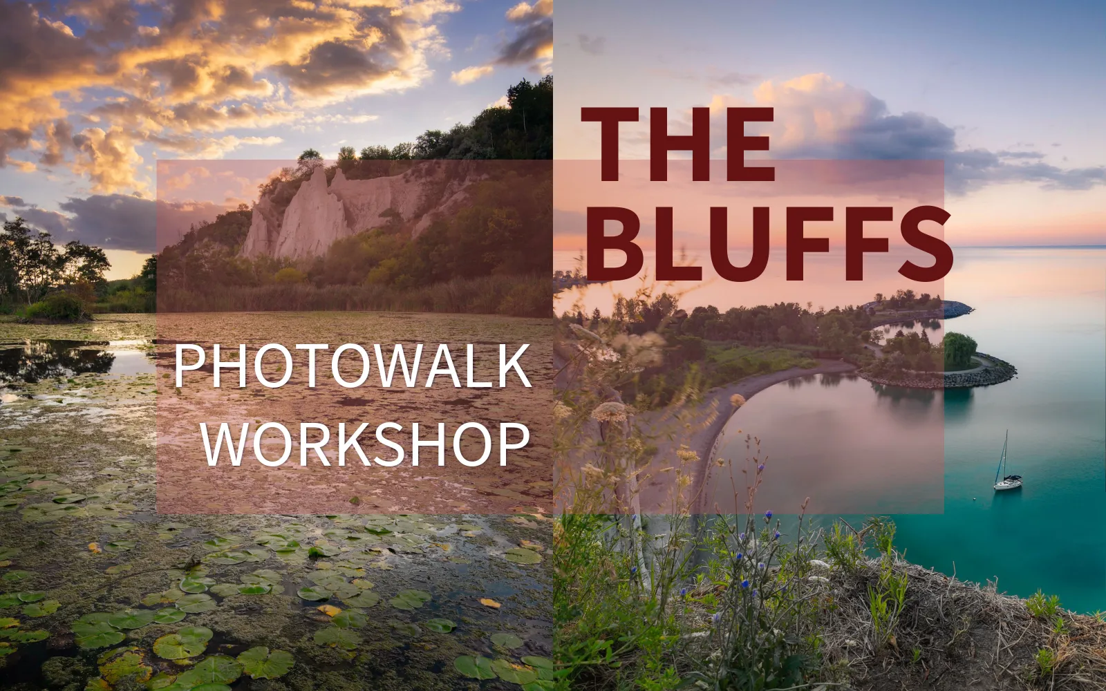Photo walk workshop at Scarborough Bluffs