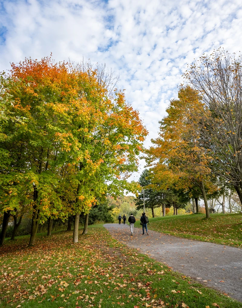 Scarborough Bluffs Park by @bigredontheroad -Carol Wade