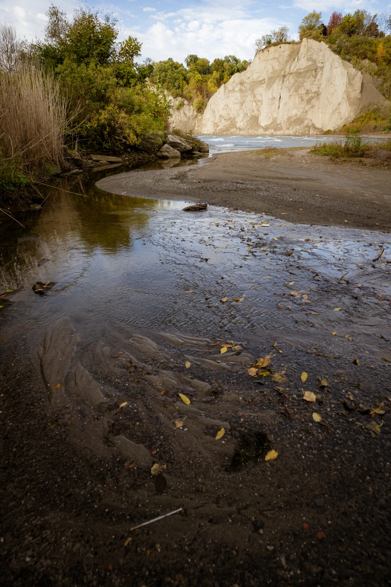 Scarborough Bluffs by @bigredontheroad -Carol Wade