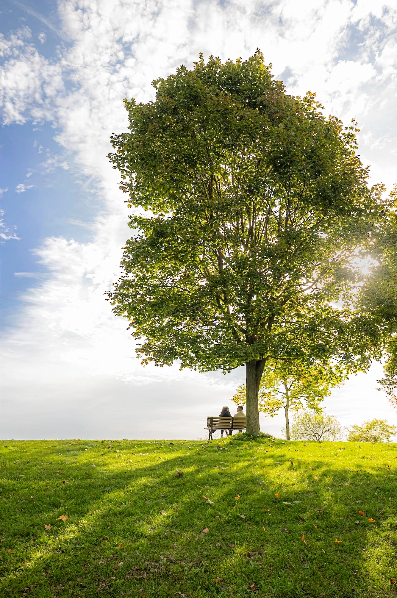 Scarborough Bluffs sunrise by @bigredontheroad Carol Wade